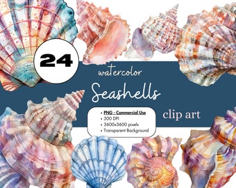 24 Conchas Marinas Acuarela Clipart Sublimación Paquete PNG Uso Comercial Gráficos Clip Art Digital Costa Océano Conchas Playa Transparente