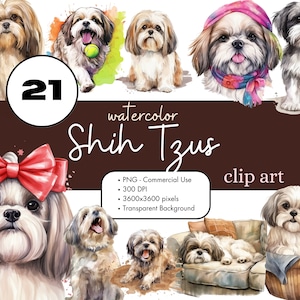 21 Shih Tzu Dogs Watercolor Clipart PNG Sublimation Bundle Commercial Use Graphics Pets Animal Cute Puppy Digital Scrapbooking Clip Art