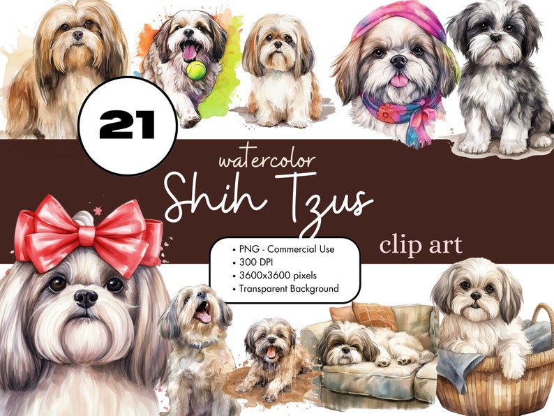 21 Shih Tzu Dogs Watercolor Clipart PNG Sublimation Bundle Commercial ...