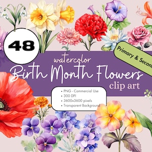 48 Mes de nacimiento Flor Acuarela Clipart Sublimación Paquete PNG Uso Comercial Gráficos Clip Art Primario y Secundario Scrapbooking Digital