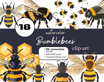 18 Abejorros Acuarela Clipart PNG Sublimación Paquete Uso Comercial Gráficos Insectos Abejas Abeja Lindo Digital Clip Art
