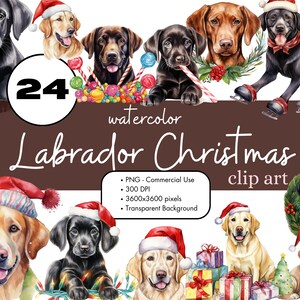24 Labrador Retriever Noël Chiens Aquarelle Clipart PNG Sublimation Bundle Utilisation commerciale Graphiques Black Lab Holiday Digital Clip Art