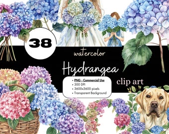 38 Hydrangeas Blue Flower Watercolor Clipart Sublimation Bundle PNG Commercial Use Graphics Elegant Spring Summer Wedding Floral Clip Art