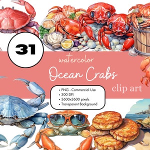 31 Crabs Watercolor Clipart PNG Sublimation Bundle Commercial Use Graphics Blue Red Ocean Seafood Sealife Digital Clip Art Scrapbooking