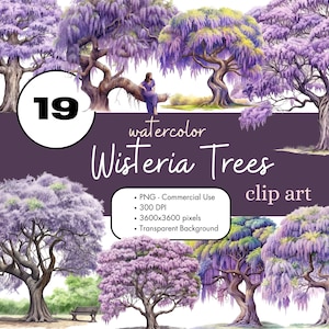 19 Wisteria Trees Watercolor Clipart PNG Sublimation Bundle Commercial Use Graphics Illustrations Journal Purple Garden Digital Clip Art