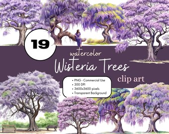 19 blåregnsträd akvarell clipart PNG sublimeringspaket kommersiellt bruk grafik illustrationer journal lila trädgård digital clipart