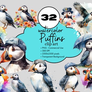 32 Puffins Aquarela Clipart Sublimação Design Elements Bundle PNG Uso Comercial Animais Gráficos Pássaro Atlântico Islândia Animal Clip Art