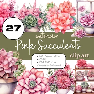 27 Suculentas Rosas Plantas de Cactus Acuarela Clipart Sublimación Paquete PNG Uso Comercial Plantas de Interior Gráficos Pastel Plantas Colores Clip Art