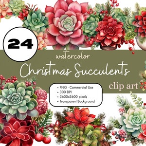 24 Suculentas navideñas Plantas de cactus Acuarela Clipart Sublimación Paquete PNG Uso comercial Gráficos Plantas de interior navideñas Plantas Clip Art