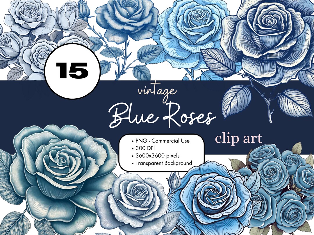 15 Blue Vintage Roses Clipart Sublimation Bundle PNG Commercial Use ...