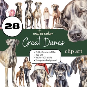 28 Deutsche Doggen Aquarell Clipart PNG Sublimations Bundle Kommerzielle Nutzung Grafiken Braun Haustiere Tier Hund Mama Digitale ClipArt
