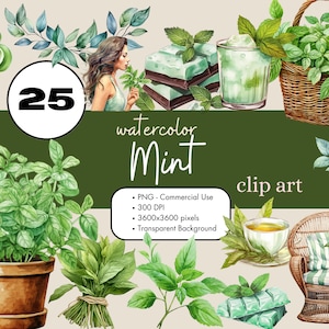 May include: A set of 25 watercolor illustrations of mint leaves, sprigs, and other mint-themed elements. The illustrations include a mint ice cream cone, a glass of mint drink, a basket of mint leaves, a chocolate bar with mint filling, a cup of mint tea, and a wicker chair with a mint-colored cushion. The illustrations are perfect for creating digital or printed designs.