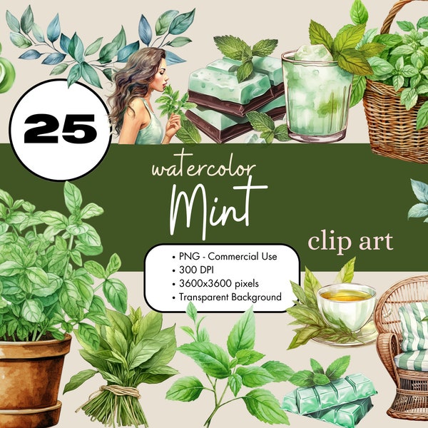 25 Mint Herbs Watercolor Clipart Sublimation Bundle PNG Commercial Use Graphics Clip Art Leaf Green Digital Garden Food Transparent