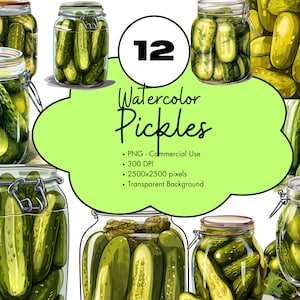 12 sottaceti acquerello clipart inscatolamento sublimazione elementi di design bundle PNG uso commerciale verdure alla moda clip art cibo