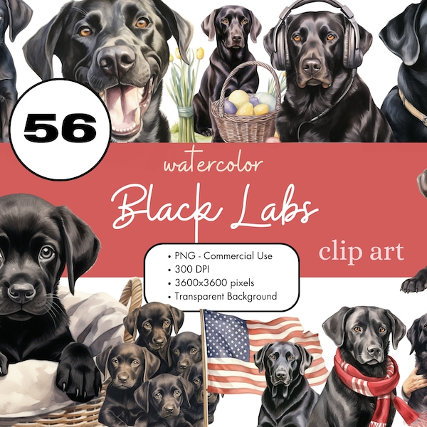 56 Black Labrador Retriever Watercolor Clipart PNG Sublimation Bundle Commercial Use Graphics Puppy Pets Animal Lab Dog Digital Clip Art