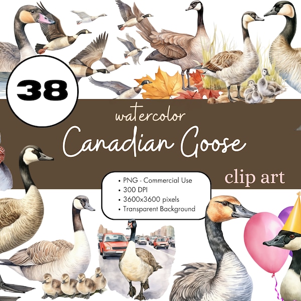 38 Canada Goose Clipart PNG Sublimation Bundle Commercial Use Graphics Vintage Birds Ducklings Canadian Geese Junk Journal Digital Art