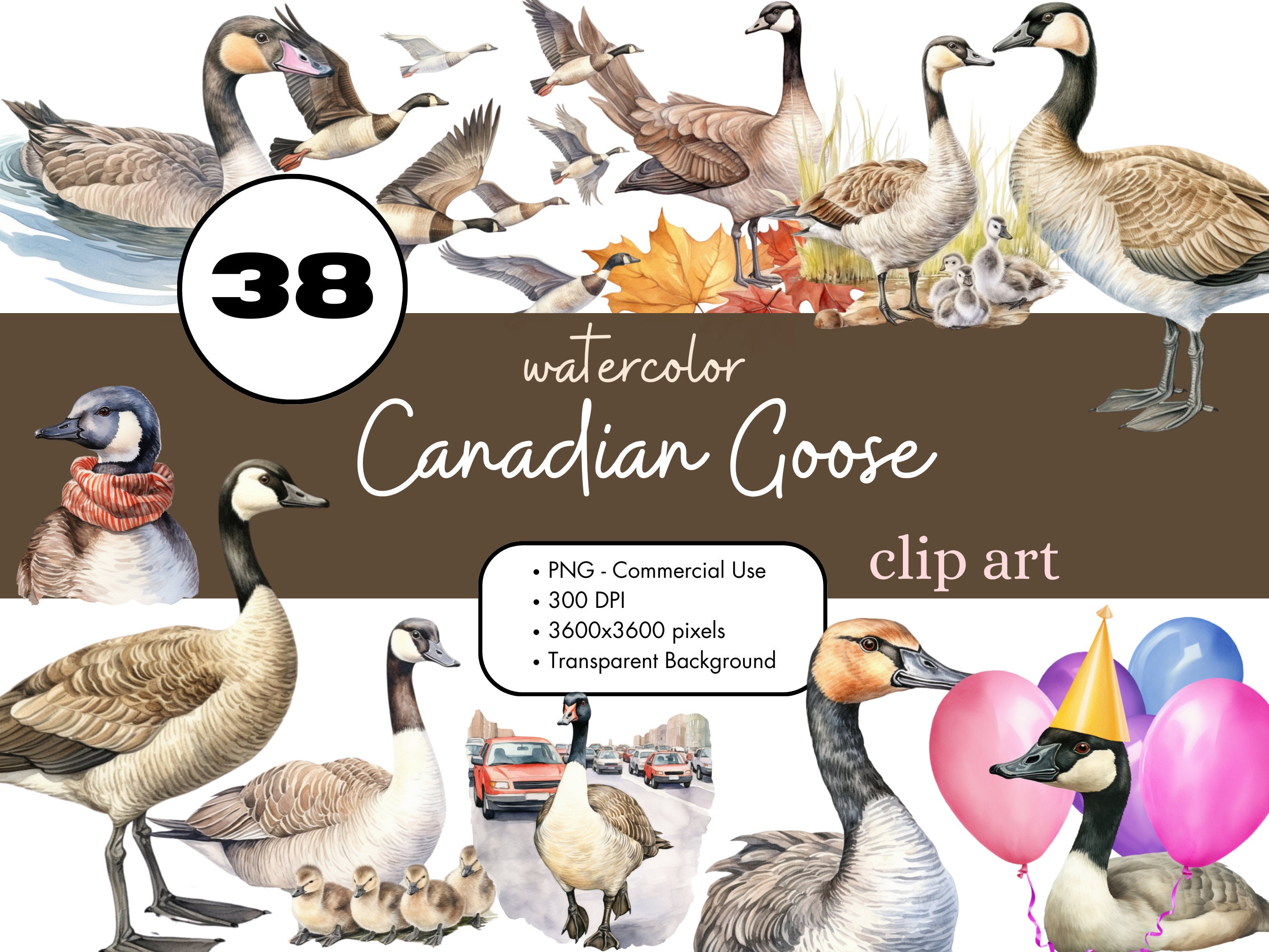 38 Canada Goose Clipart PNG Sublimation Bundle Commercial Use Graphics Vintage Birds Ducklings Canadian Geese Junk Journal Digital Art
