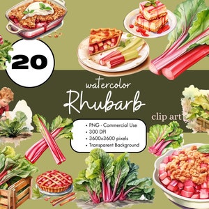 20 Ruibarbo Assando Torta Comida Jardinagem Aquarela Clipart Sublimação Pacote PNG Uso Comercial Gráficos Verão Vegetal Frutas Comida Clipart