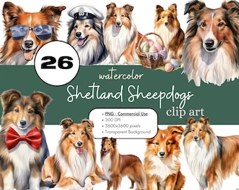 26 Shetland Sheepdogs Watercolor Clipart PNG Sublimation Bundle Commercial Use Graphics Pets Animal Sheltie Dogs Digital Clip Art