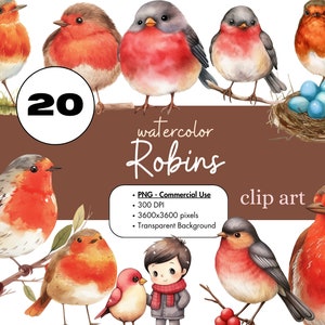 20 Robins Aquarela Clipart Sublimação Pacote PNG Uso Comercial Gráficos Junk Journal Primavera Vida Selvagem Bonitos Pássaros Vermelhos Digital
