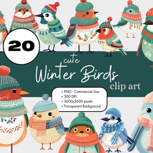 20 uccelli invernali in abbigliamento acquerello clipart sublimazione bundle PNG uso commerciale grafica Natale scandinavo carino Robin Blue Jay