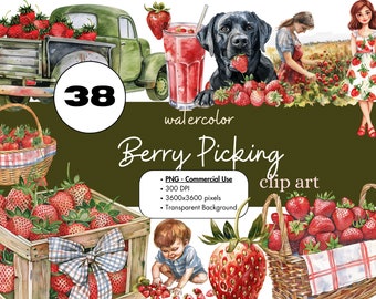 38 Berry Picking Strawberry Watercolor Clipart Sublimation Bundle PNG Commercial Use Graphics Farm Spring Summer Picnic Fruit Clip Art