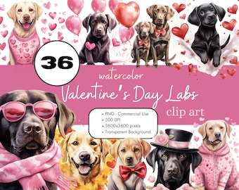 36 Labrador Retriever Valentine's Day Clipart PNG Sublimation Bundle Commercial Use Graphics Love Hearts Labs Black Puppy Dogs Digital