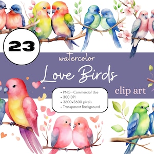 23 Love Birds Watercolor Clipart Sublimation Bundle PNG Commercial Use Graphics Junk Journal Spring Valentine&#39;s Day Lovebirds Digital