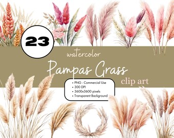 23 Pampas Grass Floral Watercolor Clipart Sublimation Bundle PNG Commercial Use Graphics Boho Kittens Digital Wedding Plant Journal Clip Art