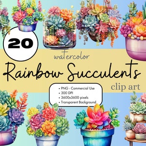 20 Arco Iris Suculentas Plantas de Cactus Acuarela Clipart Sublimación Paquete PNG Uso Comercial Gráficos Colores Pastel Clip Art