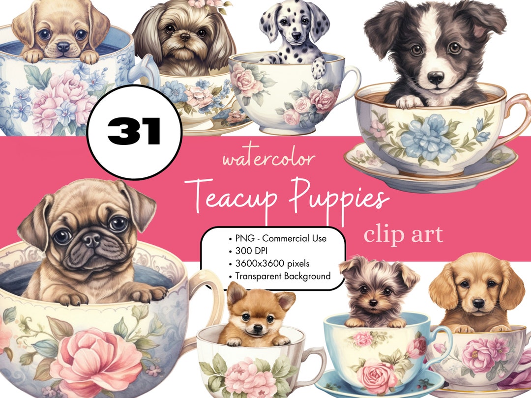 31 Teacup Puppies Dogs Watercolor Clipart PNG Sublimation Bundle ...