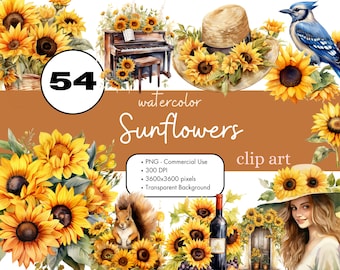 54 Sunflowers Watercolor Clipart Sublimation Bundle PNG Commercial Use Graphics Yellow Rustic Cottagecore Floral Summer Digital Art
