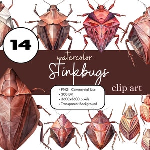 14 Stinkbugs Clipart PNG Sublimation Bundle Commercial Use Graphics ...