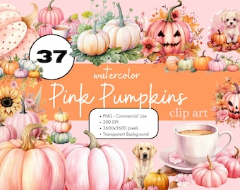 37 Pink Pastel Halloween Pumpkins Watercolor Clipart Sublimation Bundle PNG Commercial Use Graphics Elegant Gourds Autumn Pastel Clip Art