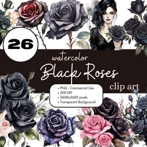 26 rose nere acquerello clipart sublimazione bundle PNG uso commerciale grafica elegante fiore gotico floreale scuro clip art