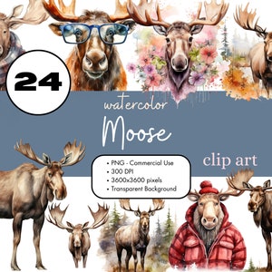24 Elch Clipart Sublimation Bundle PNG Kommerzielle Nutzung Grafiken Clip Art Montana Natur Digital Animal Scrapbooking Clip Art