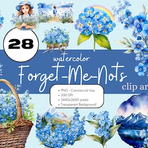 28 Forget Me Not Alaska State Flower Floral Blue Élégant Aquarelle Clipart Sublimation Bundle PNG Utilisation commerciale Graphics Clip Art