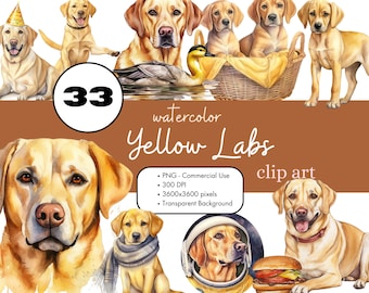 33 gele Labrador Retriever aquarel clipart PNG sublimatie bundel commercieel gebruik graphics puppy huisdieren Animal Lab hond digitale illustraties