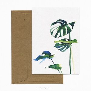 Carte postale A6 Botanique Monstera Aquarelle