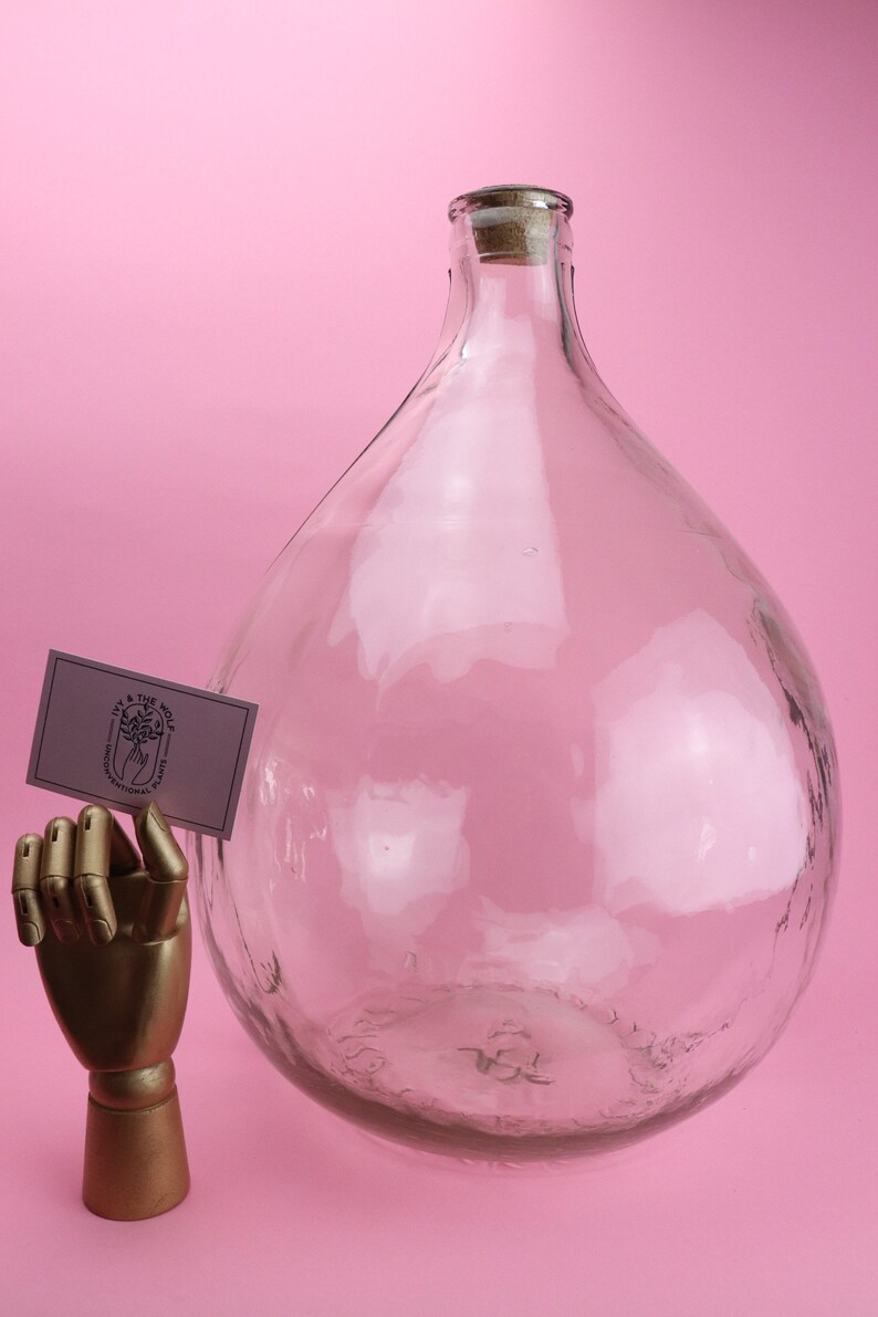 GLASS CARBOY TERRARIUM Etsy