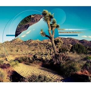 Può includere: Un paesaggio desertico con una strada sterrata che attraversa il centro dell'immagine. Un albero di Joshua si erge in primo piano, con un cielo blu e nuvole sullo sfondo. L'immagine ha un aspetto vintage e sbiadito.