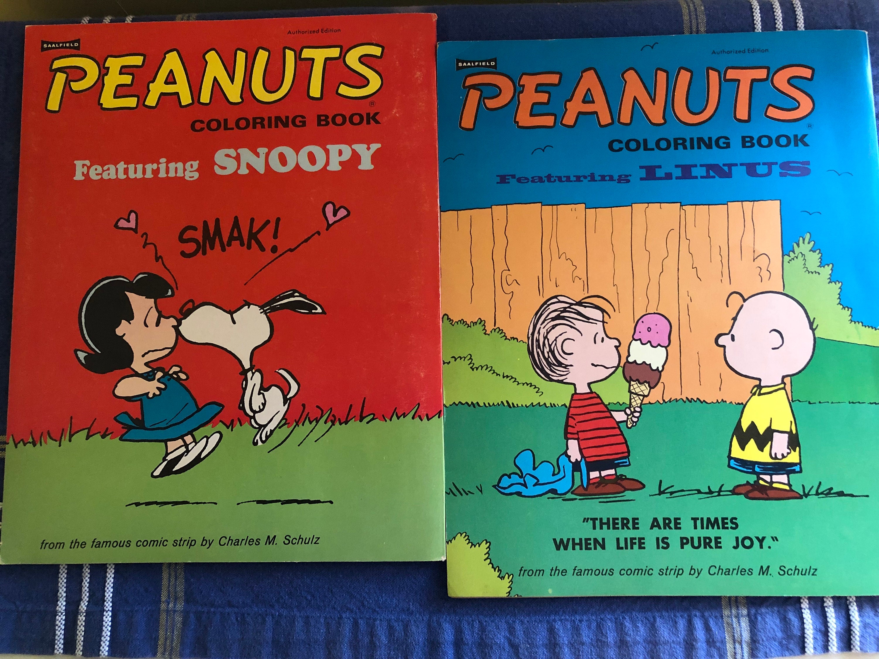 Vintage 1970´s Peanuts Charlie Brown Snoopy Books 海外 即決-