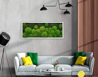 Moss wall art, moss ball and flat moss painting, Jolie Arts