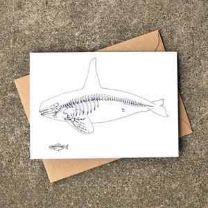 X-ray Orca and Salmon Greeting Card, Killer Whale, West Coast, Any Occasion, Blank Card, Bones, Skeleton, Drawing, par Natasha van Netten