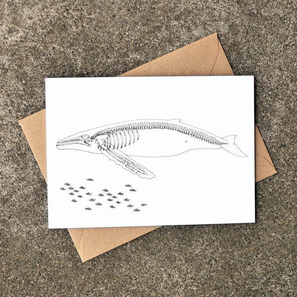 X-Ray Humpback Whale and Herring Greeting Card, West Coast, Any Occasion, Blank Card, Bones, Skeleton, Drawing, Art by Natasha van Netten