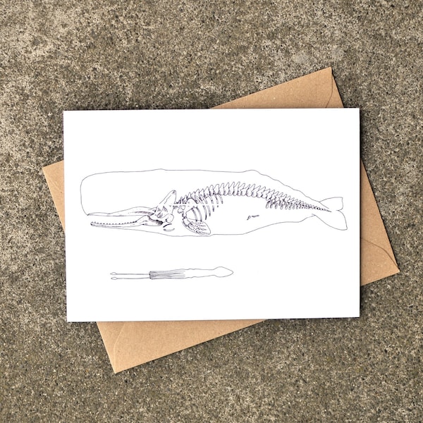 X-ray Sperm Whale and Squid Greeting Card, Moby Dick, Science, Any Occasion, Blank Card, Bones, Skeleton, Drawing, Art by Natasha van Netten