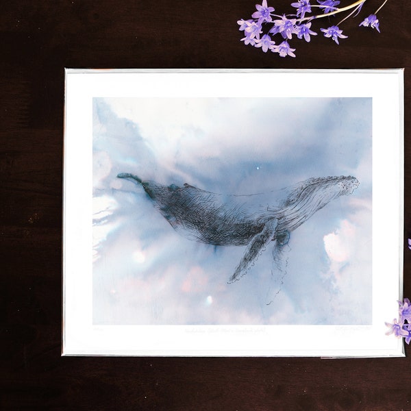Limited Edition Giclée Art Print, Hnúfubakur, North Atlantic Humpback Whale, Ink & Seawater, Signed, Drawing, Wall Art by Natasha van Netten