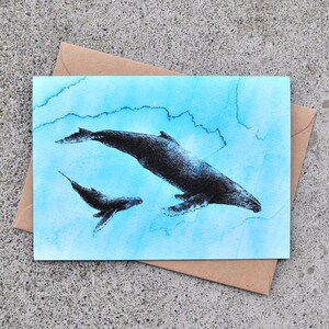 Marsouins de Dall de la série Ocean, carte de voeux, côte ouest, PNW, plume et encre, eau, carte d'art, cétacé, dessin, biologie marine