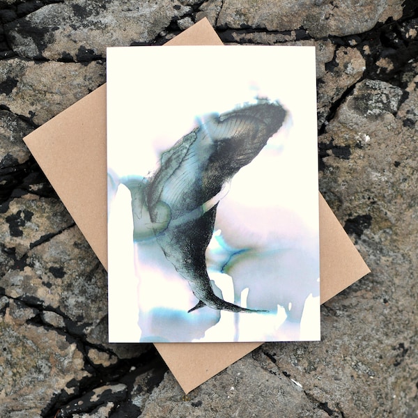 Humpback Whale Greeting Card, Cetacean, Seawater and Ink Drawing, Pacific Northwest, Art and Science, Art, Blank Card, Colourful, Playful,