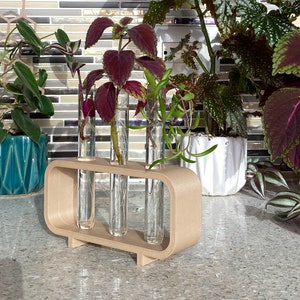 Test Tube Propagation Station